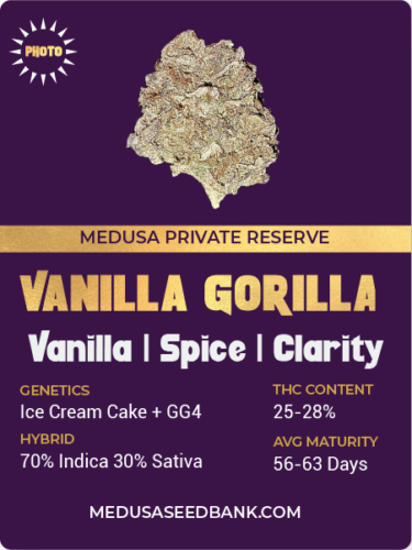 vanilla gorilla feminized seeds