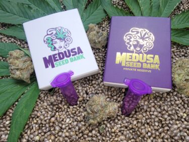 Medusa Seed Bank packages