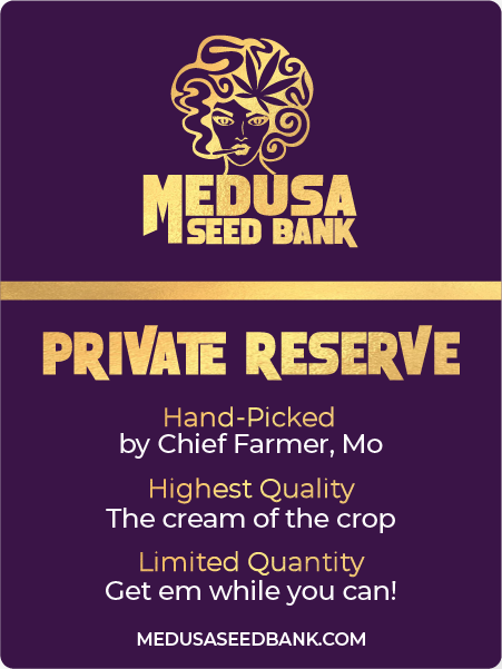 Medusa Private Reserve - Medusa Seed Bank