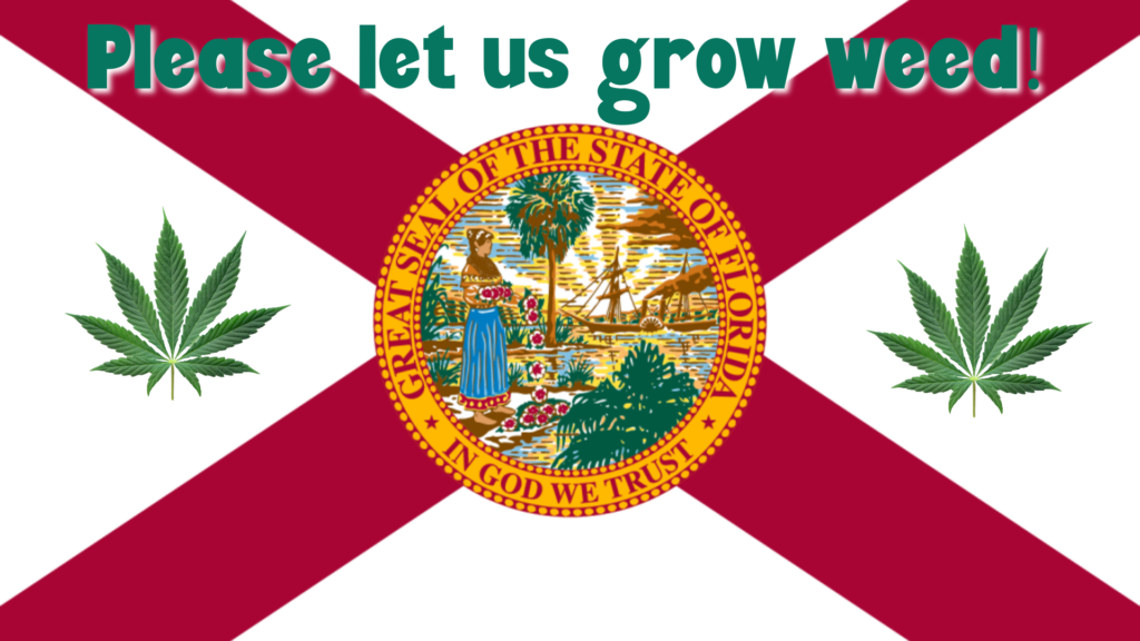 Florida cannabis legalization; medusa seed bank